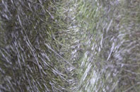 Porthmeor fibreglass roof work